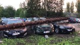 Padající stromy ničily v Česku zaparkovaná auta. Bouřky hrozí dál, sledujte radar