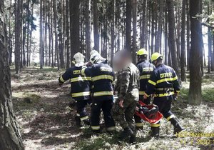 U letiště v Plasích uvízli dva výsadkáři na stromě, jednoho, zraněného, sundávali hasiči.