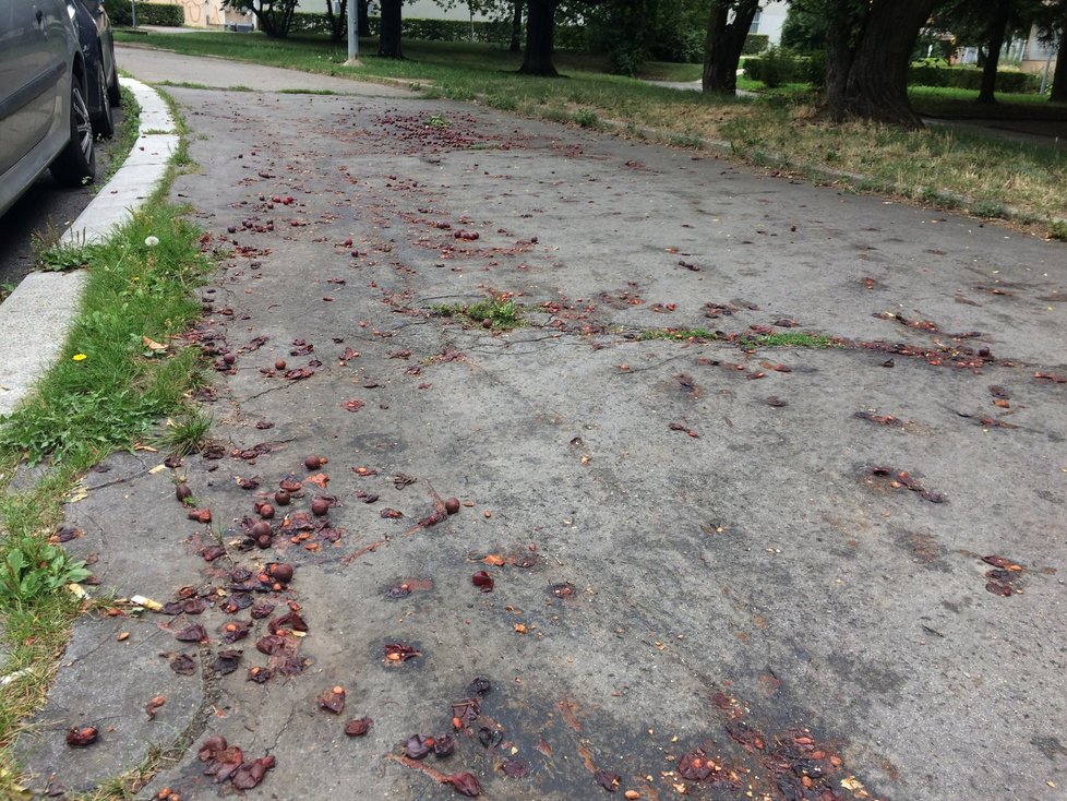 Pokud zaprší, stává se podle místního obyvatele z chodníku neprůchodná „marmeláda“.