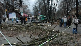 Mluvčí magistrátu novinářům řekla, že strom měl porušený kořenový bal. Pokácet se bude muset i druhý strom, který by mohl spadnout.