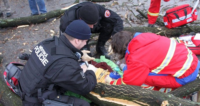 Na místě nehody zasahovali záchranáři i policisté.