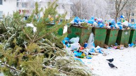 Svozové programy se budou snažit předcházet hromadění odpadků u popelnic během svátků (Ilustrační foto).