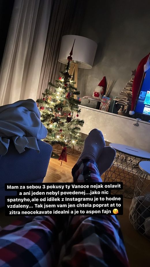 Andrea Sestini Hlaváčková se svým stromečkem na sítích také pochlubila. Andrea Sestini Hlaváčková se svým stromečkem na sítích také pochlubila.