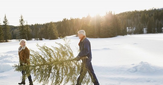 Obyvatelé severozápadního Německa mají už druhým rokem možnost využít půjčovny vánočních stromků