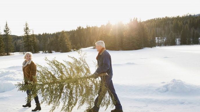 Obyvatelé severozápadního Německa mají už druhým rokem možnost využít půjčovny vánočních stromků