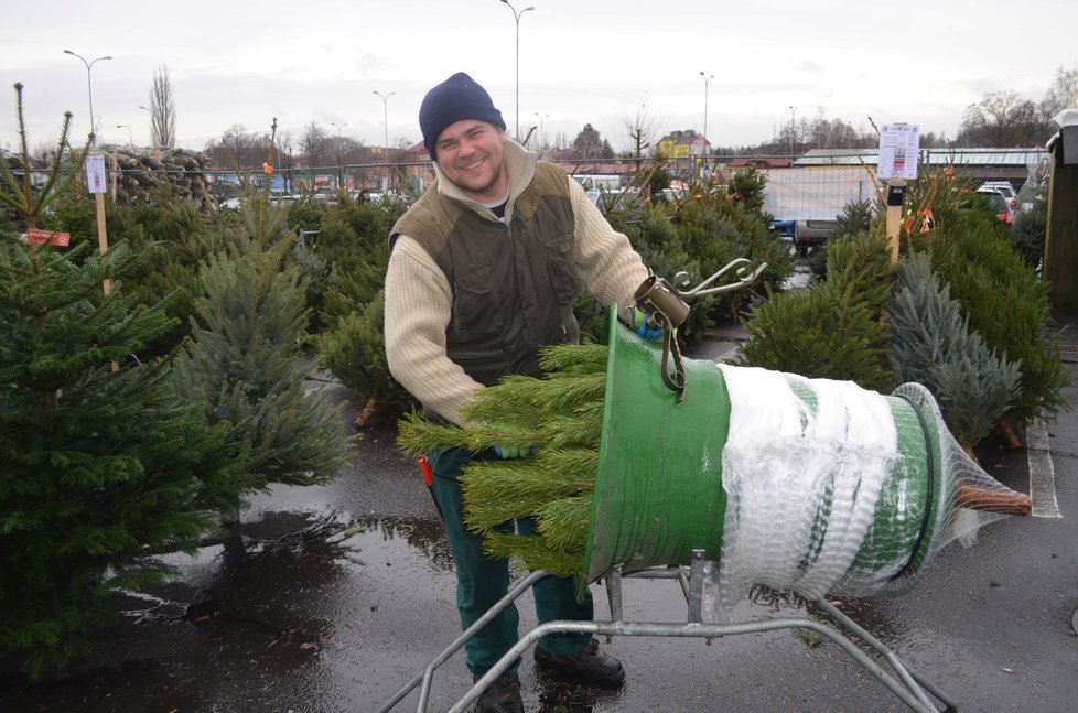 Prodej vánočních stromků začal
