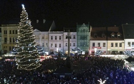 Dvacetimetrový smrk Českolipští slavnostně rozsvítili minulou sobotu.