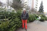 Plzeň chystá prodej stromků z městských lesů. Ilustrační foto