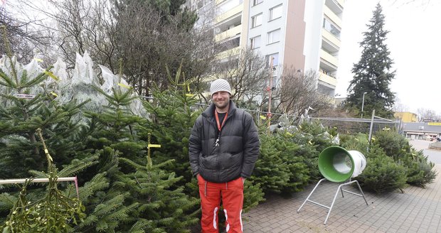 Plzeň chystá prodej stromků z městských lesů. Ilustrační foto