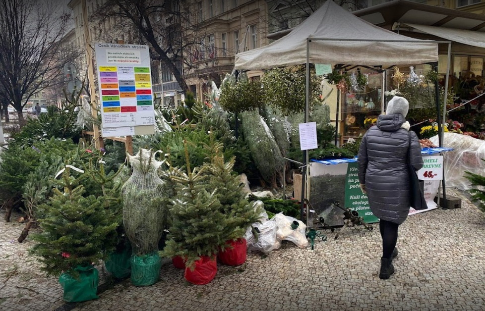 Prodej vánočních stromků na Tylově náměstí