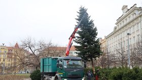 Vánoční stromky z Prahy 3 poslouží k opravě dětského hřiště