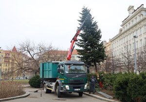 Vánoční stromky z Prahy 3 poslouží k opravě dětského hřiště