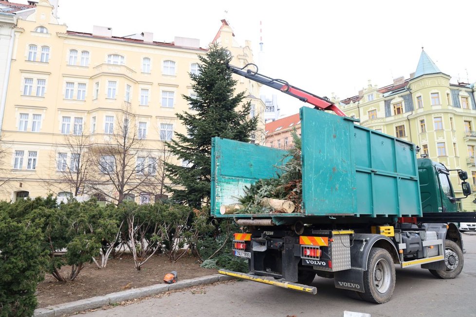 Vánoční stromky z Prahy 3 poslouží k opravě dětského hřiště