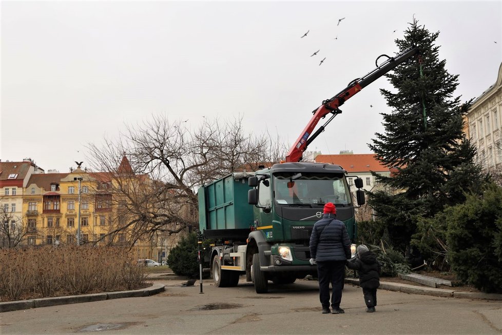 Vánoční stromky z Prahy 3 poslouží k opravě dětského hřiště