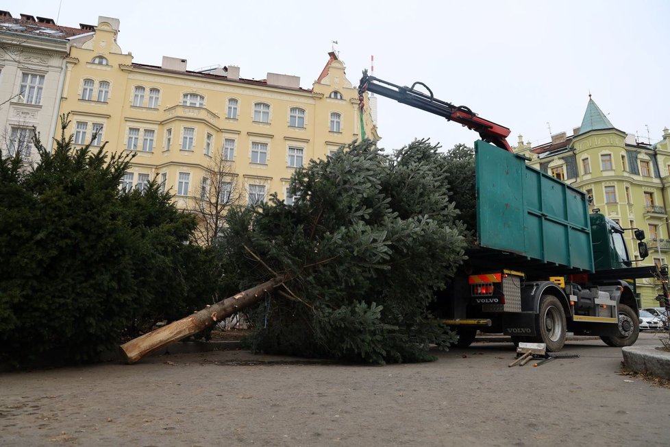 Vánoční stromky z Prahy 3 poslouží k opravě dětského hřiště