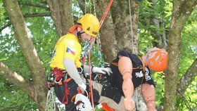 Soutěž v lezení po stromech: Nejlepší stromolezci Evropy se utkají ve Stromovce 