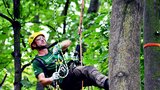 Stromolezci ovládli koruny Stromovky. Bojují o nejlepšího arboristu Evropy