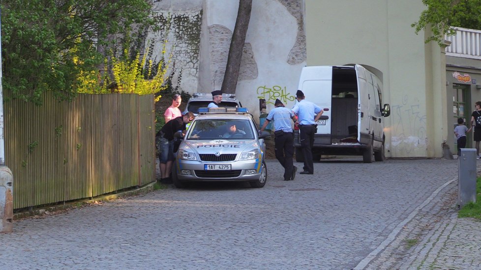 Pražští policisté naháněli dodávku ve Stromovce.