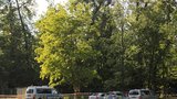 Smrt na kolejích v Praze: Poblíž Stromovky srazil vlak člověka