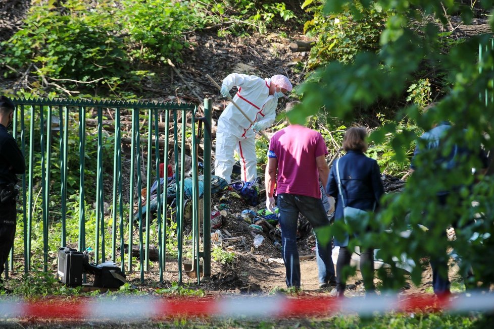 Za plotem Stromovky ležely lidské kosti. Našli je lidé, kteří tam uklízeli.