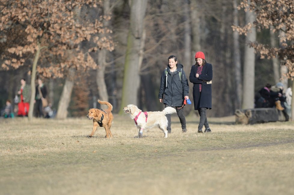 Pražský park Stromovka