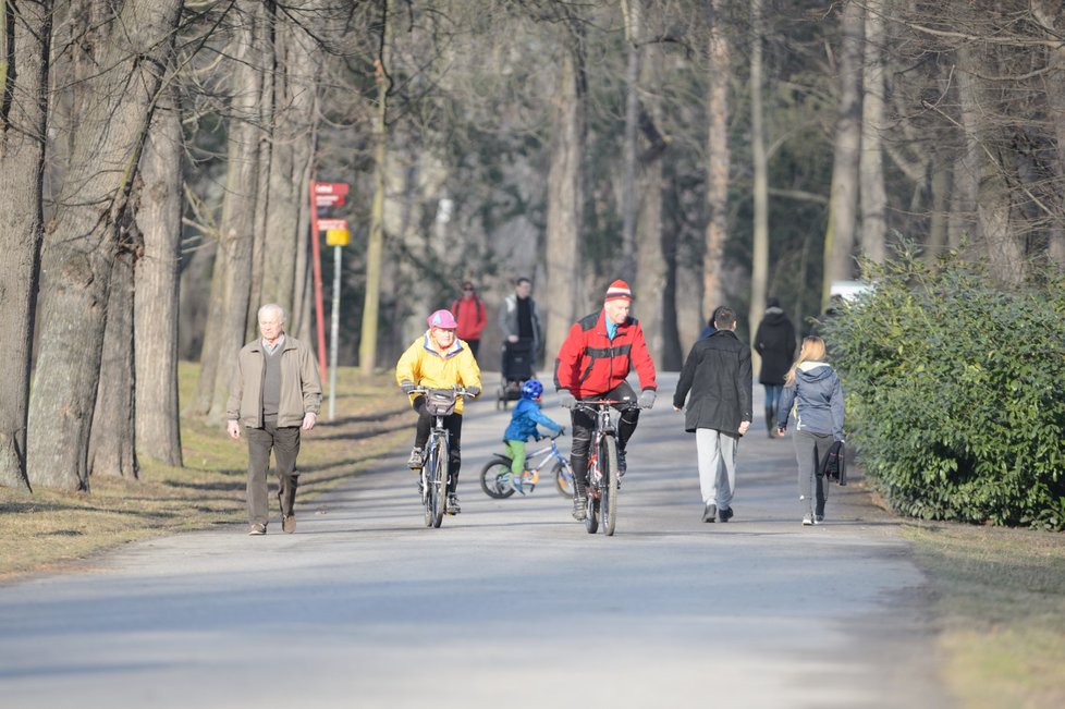 Pražský park Stromovka