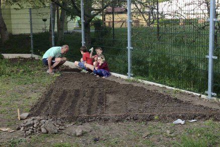 Toxoplazmózu „chytnete“ z hlíny i vlastní mrkve. Může rozjet schizofrenii