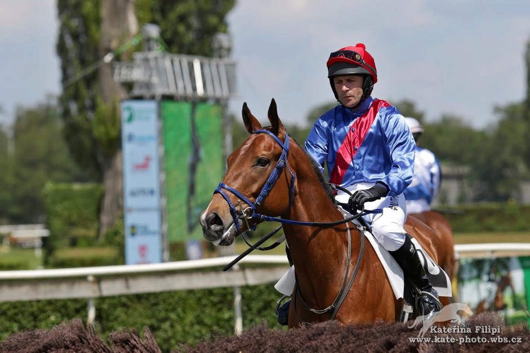 Marek Stromský v sedle čtyřletého koně Luck Ahead z DS Albertovec