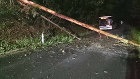 Popadané stromy komplikovaly na Svitavsku dopravu. Jeden padl na autobus a zranil řidiče.