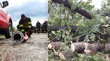 Noční bouřky zaměstnaly hasiče: Kvůli vydatnému dešti a větru padaly stromy, poškodily i střechu 