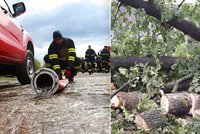 Noční bouřky zaměstnaly hasiče: Kvůli vydatnému dešti a větru padaly stromy, poškodily i střechu