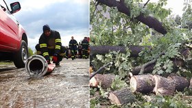 Noční bouřky zaměstnaly hasiče: Kvůli vydatnému dešti a větru padaly stromy, poškodily i střechu 