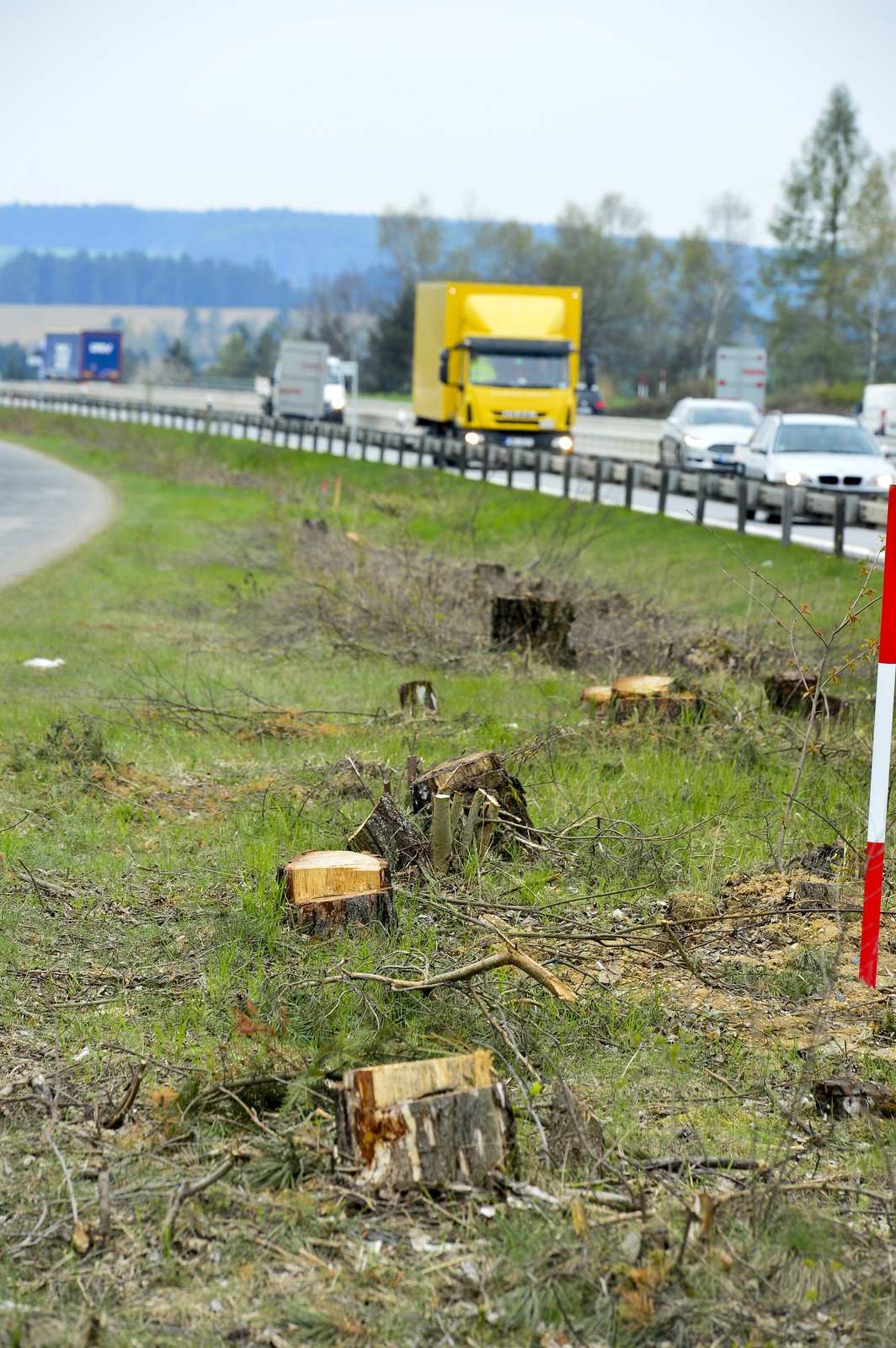 U dopravní tepny zbyly jen pařezy.