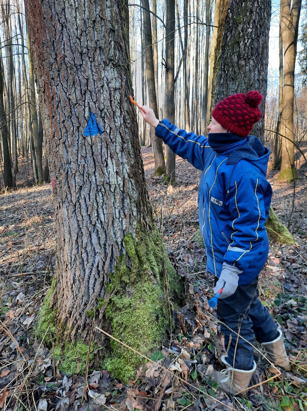 Janu Kondziolkovi (37) z Těrlicka na Karvinsku často se značením dřevin pomáhají malí skauti.