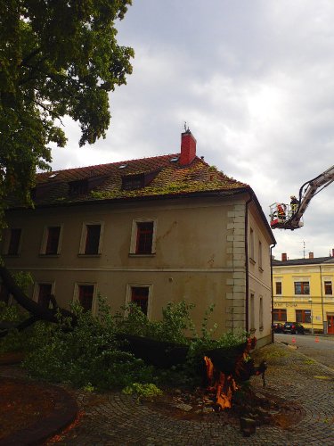 V centru Opavy v ulici Rybí trh spadla v úterý ráno 15 metrů vysoká lípa, v dolní části uhnilá, na objekt římskokatolické diecéze a poškodila jeho střechu.