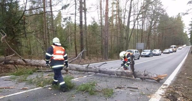 Popadané stromy v jižních Čechách zastavily dopravu.