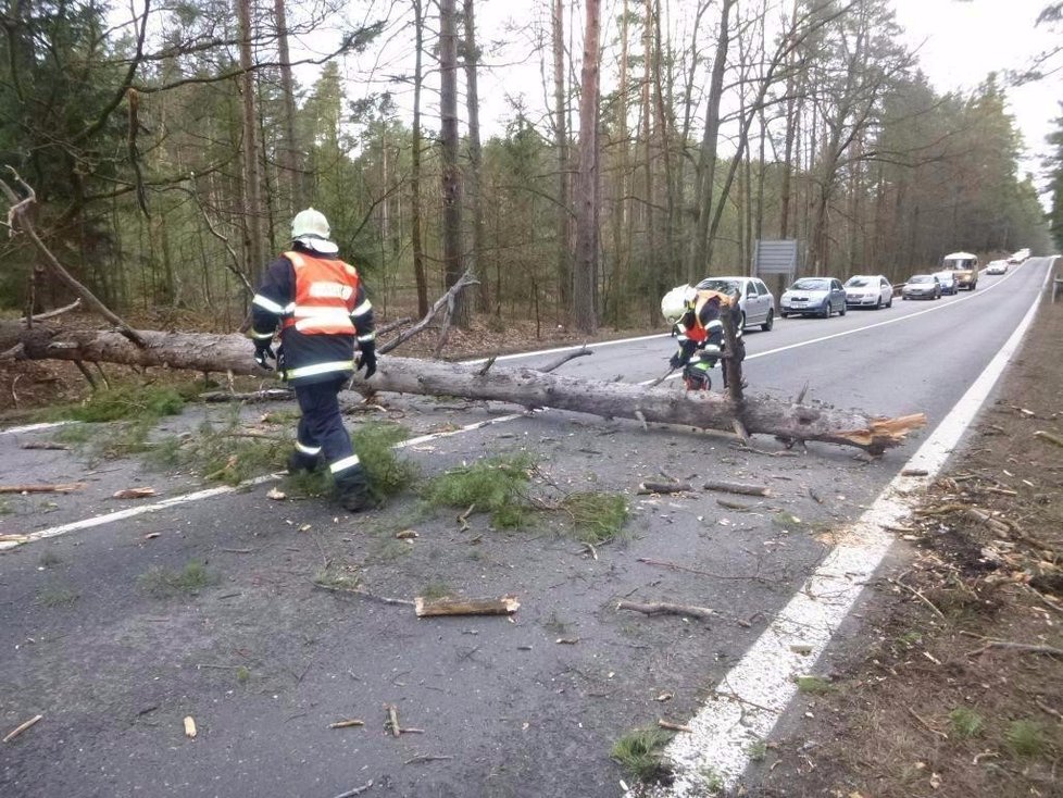 Popadané stromy v jižních Čechách