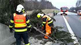 Silný vítr poničil stromy na Moravě, hasiči vyjížděli k desítkám případů. (archivní foto)