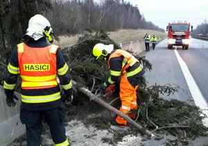 Silný vítr poničil stromy na Moravě, hasiči vyjížděli k desítkám případů. (archivní foto)