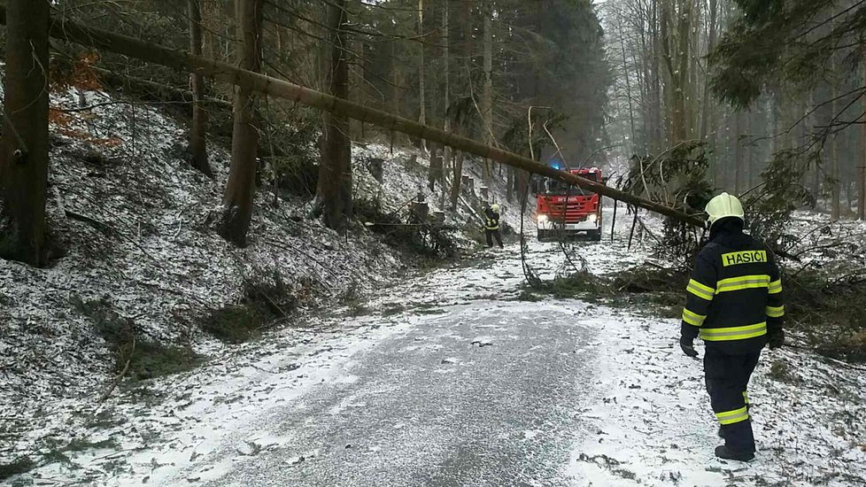 Silný vítr poničil stromy na Moravě, hasiči vyjížděli k desítkám případů.