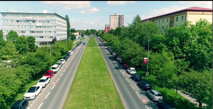 V ulici V Olšinách město vysázelo sedmdesát nových sakur.