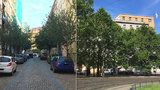 „Stromy nemají své lobbisty.“ S jejich výsadbou v ulicích Prahy je problém, pomoci může změna normy