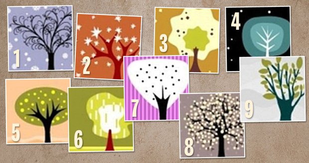 Který strom je ten váš?