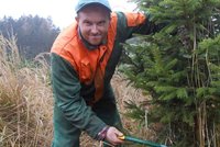 Vánoční stromky z Česka: Čerstvé, voní a jsou levné