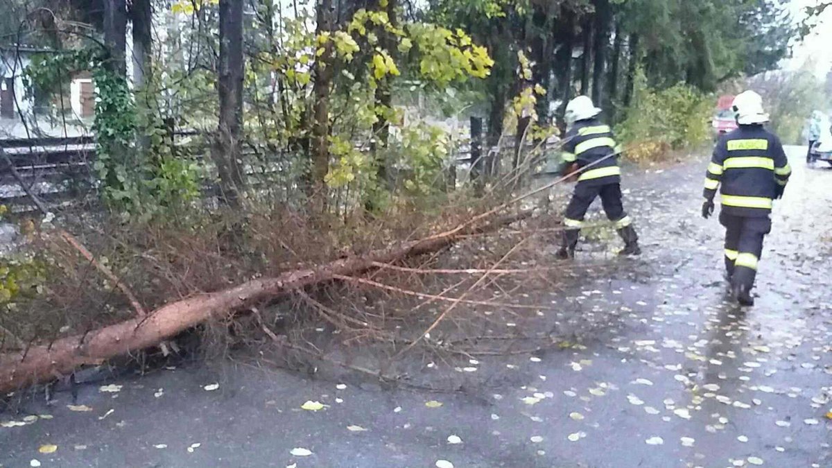 Hasiči v Olomouckém kraji vyjíždějí k desítkám případů popadaných stromů a jiným situacím.