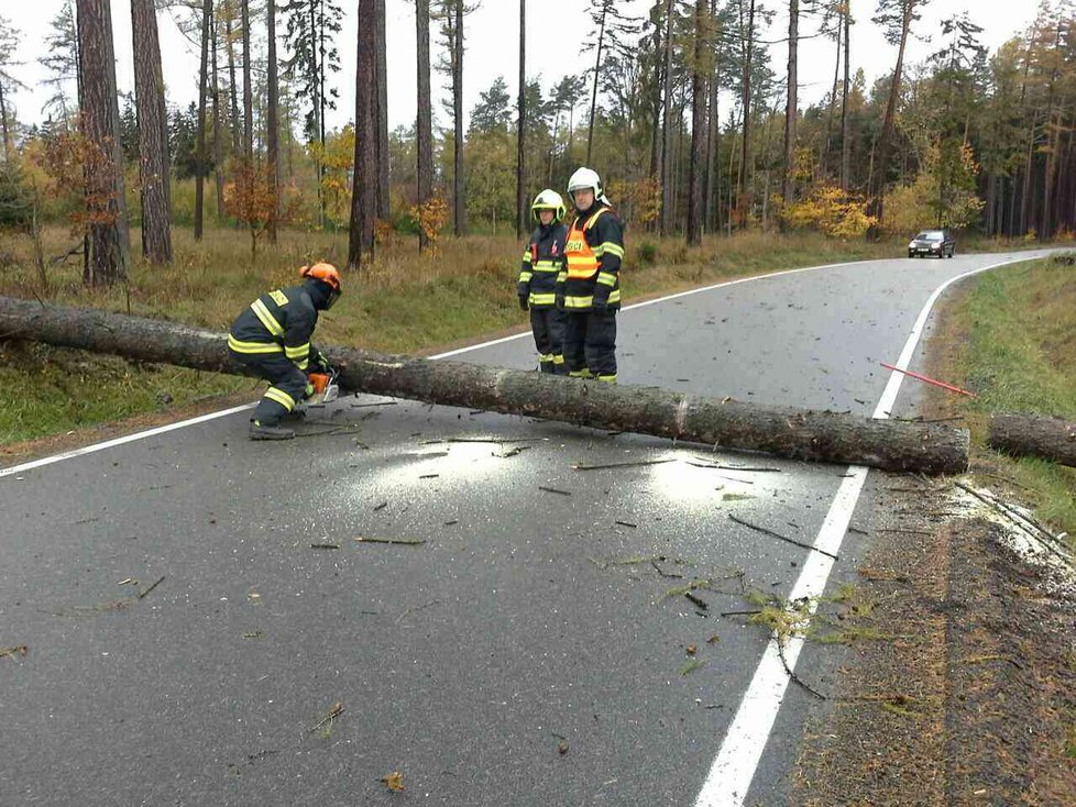 Silný vítr zaměstnává hasiče a ohrožuje Čechy. Na Vysočině padají stromy