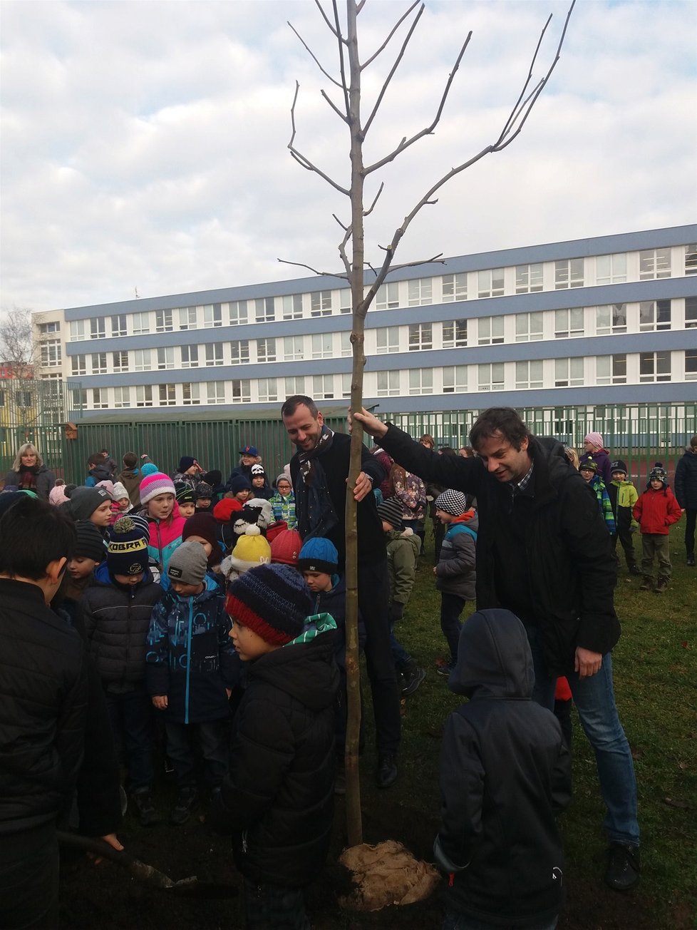 Základní škola Jílovská se dočkala nově zasazeného platanu. „Pomáhal“ jim v tom radní pro životní prostředí Ondřej Růžička.