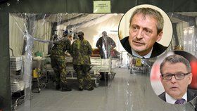 Ministři Stropnický a Zaorálek chtějí vyslat české zdravotníky do Iráku