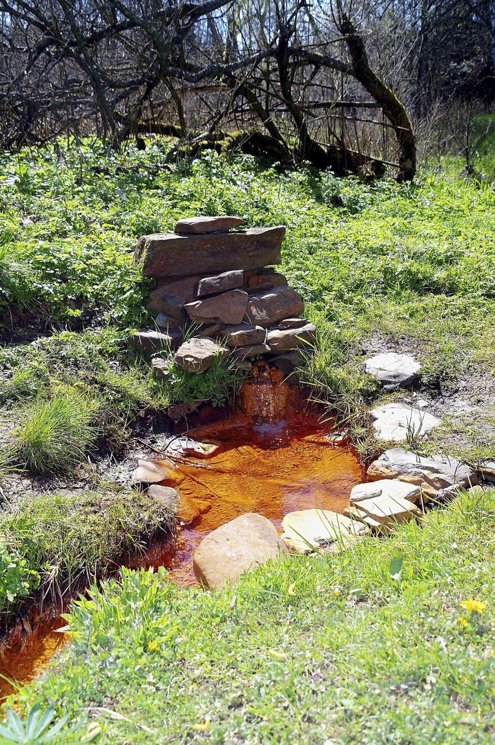 Barochova studánka