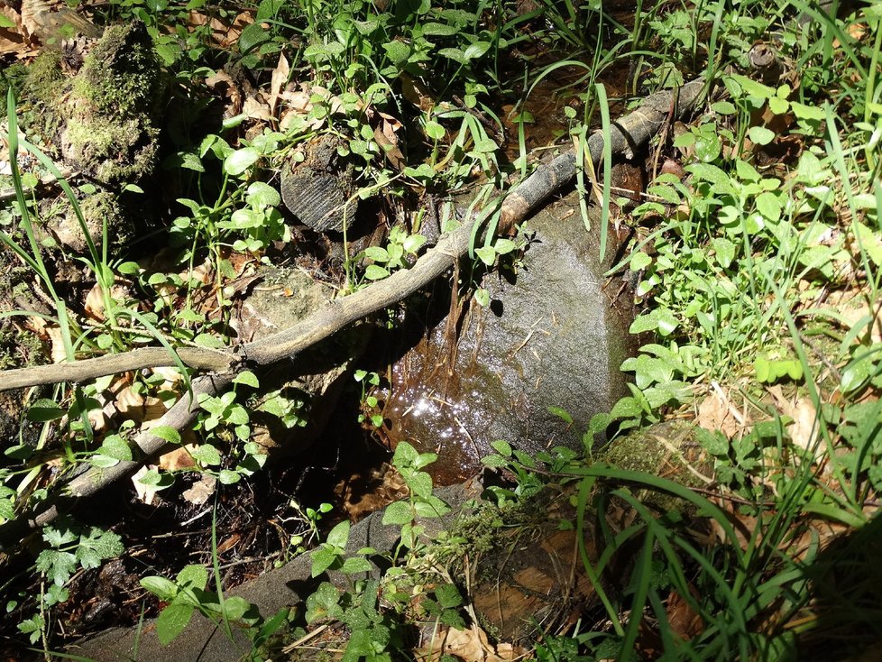 Studánka Liberec